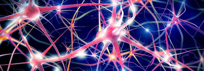 Neuropathy Nerves